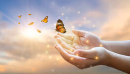 The,Girl,Frees,The,Butterfly,From,The,Jar,,Golden,Blue